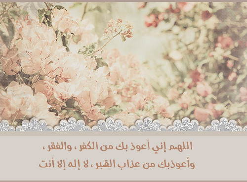 اضغط هنا لتكبير الصوره