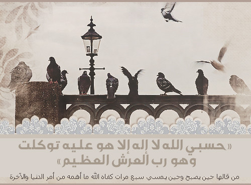 اضغط هنا لتكبير الصوره