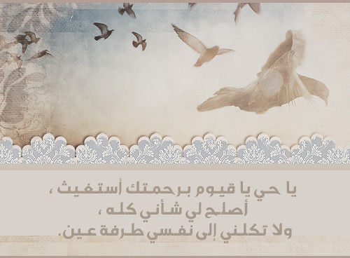اضغط هنا لتكبير الصوره