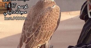 اخبار شبك الطيور لموسم 1437